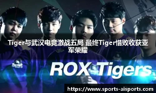 Tiger与武汉电竞激战五局 最终Tiger惜败收获亚军荣耀